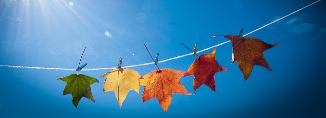 Herbst141022-11