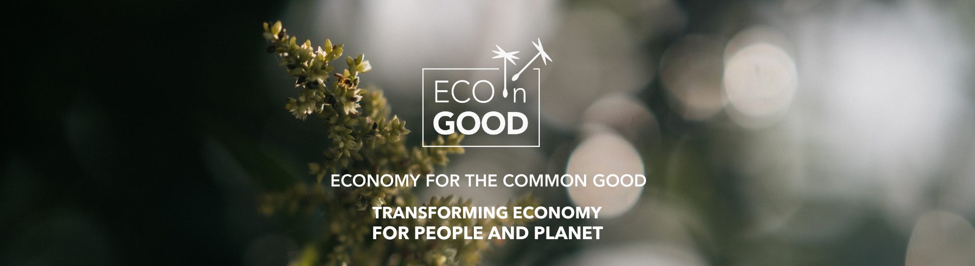 Out-of-focus background with a plant in the left foreground. Text overlay reads ECOin GOOD with Economy for the Common Good, Transforming Economy for People and Planet.