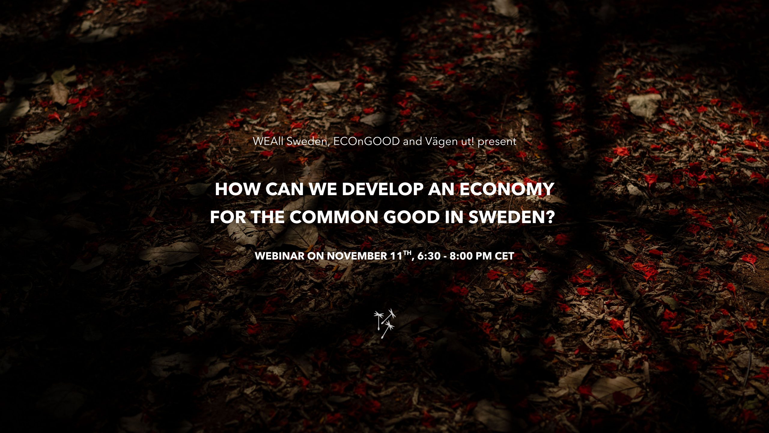 Webinar announcement on developing an economy for the common good in Sweden, hosted by WEAll Sweden, ECOnGOOD, and Vägen Ut. Scheduled for November 11th, 6:30-8:00 PM CET. Background of red and brown leaves with tree shadows.
